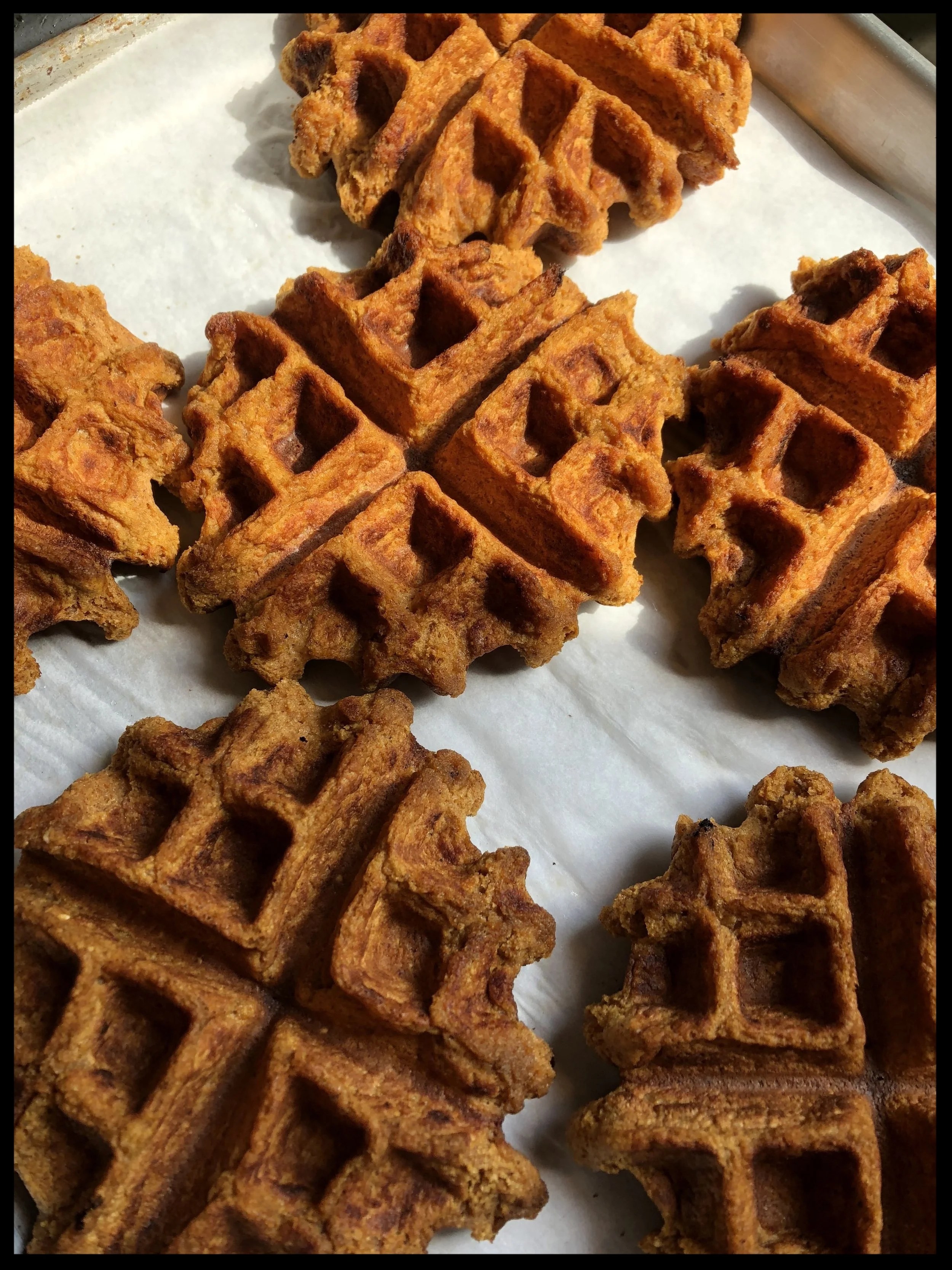  Waffles on their way to the freezer! 